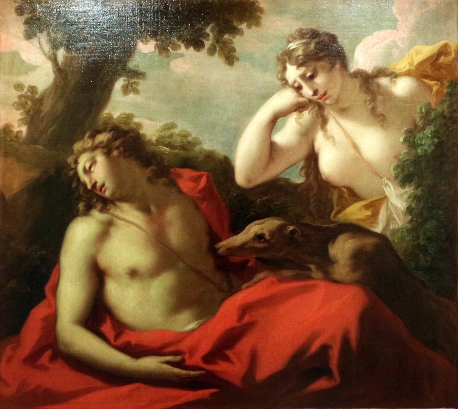 Adone e Venere piangente